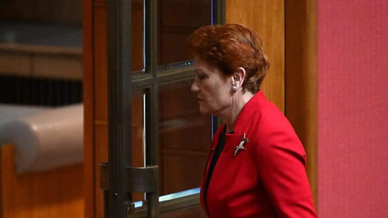One Nation leader Pauline Hanson walks out after reacting to President Sue Lines Acknowledgement of Country in the Senate chamber in Canberra.