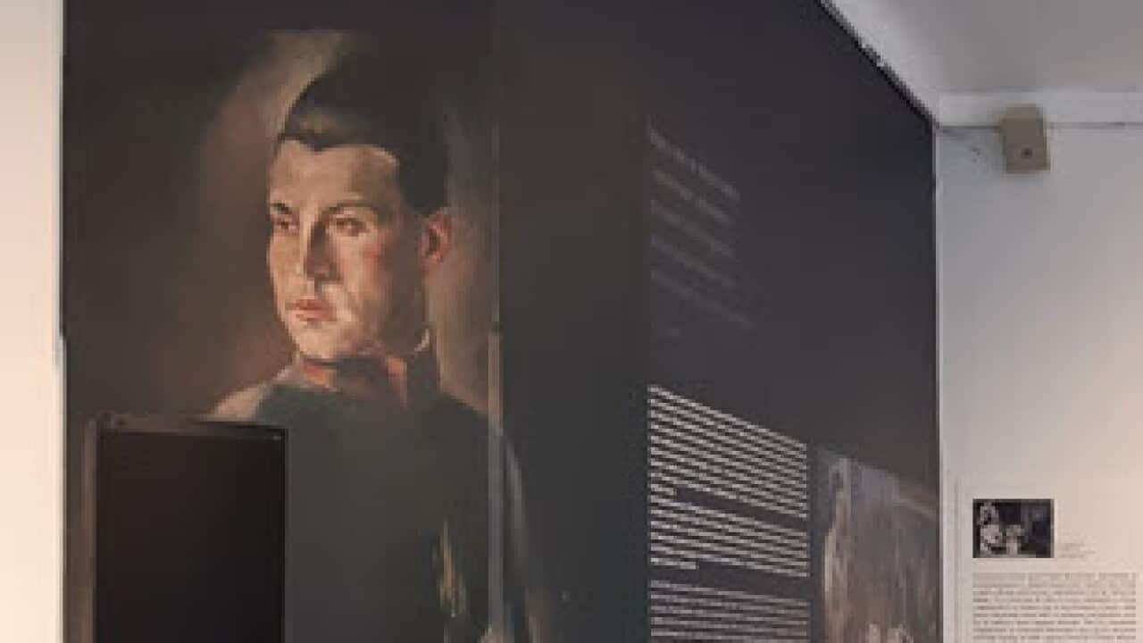 Pavle Beljanski Museum