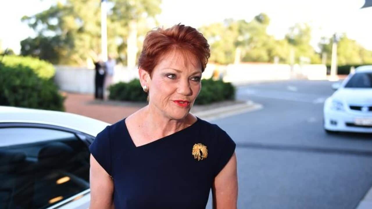 One Nation leader Senator Pauline Hanson