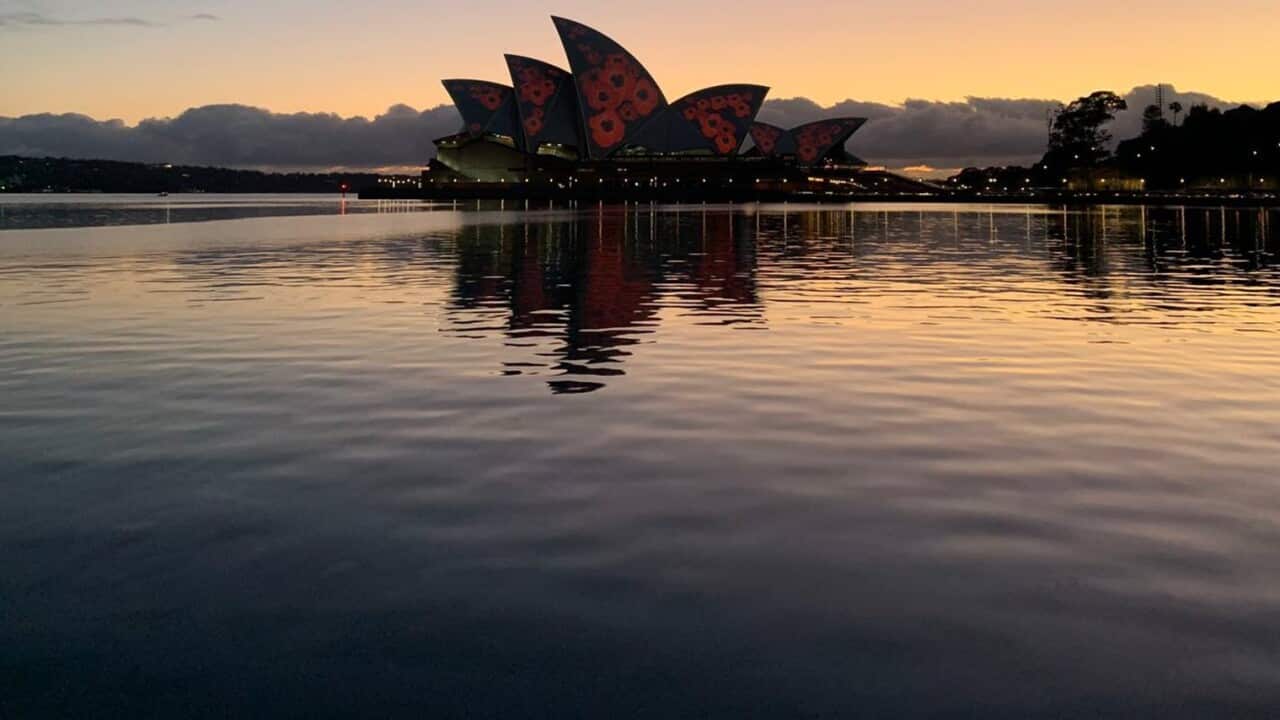 Red poppies displayed on the Sydney Opera House.