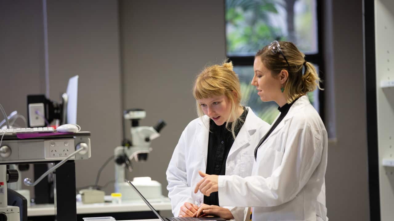 Female scientists working on laptop in laboratory