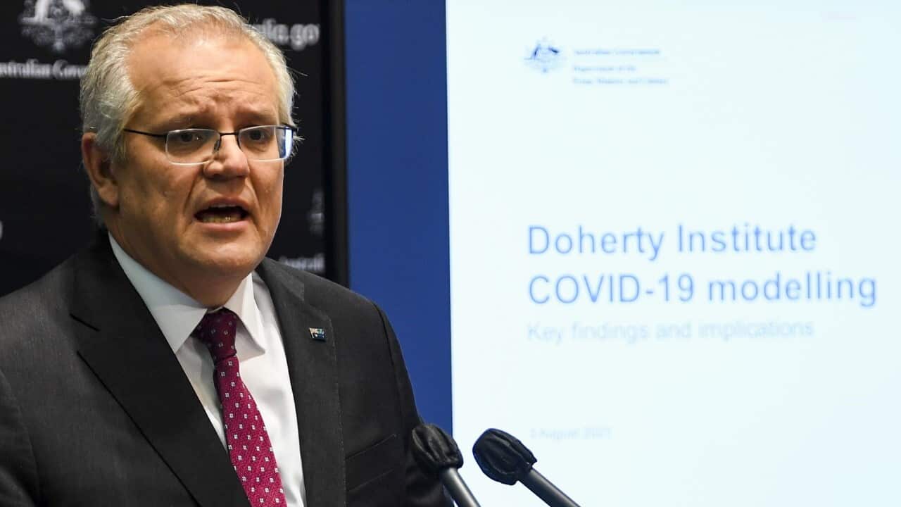 scott morrison