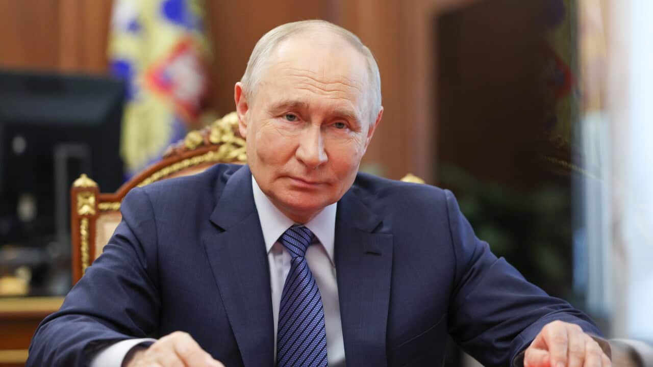 Putin in a blue suit with blue striped tie leaning over a desk in a golden chair staring at the camera with his small eyes