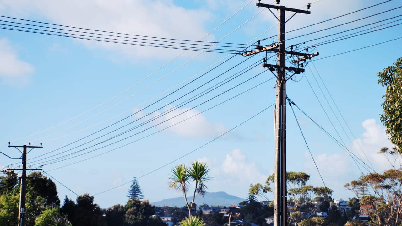 Power lines against trees and a blue sky.
