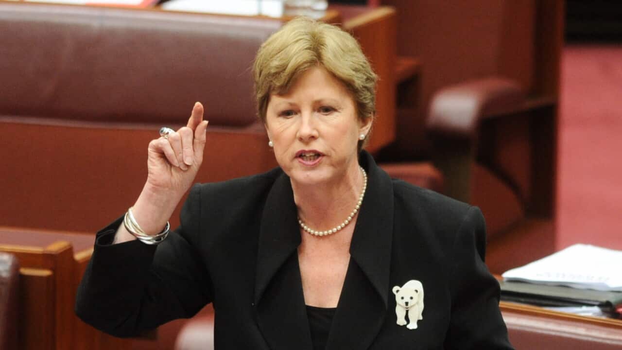 Greens leader Senator Christine Milne aap.jpg