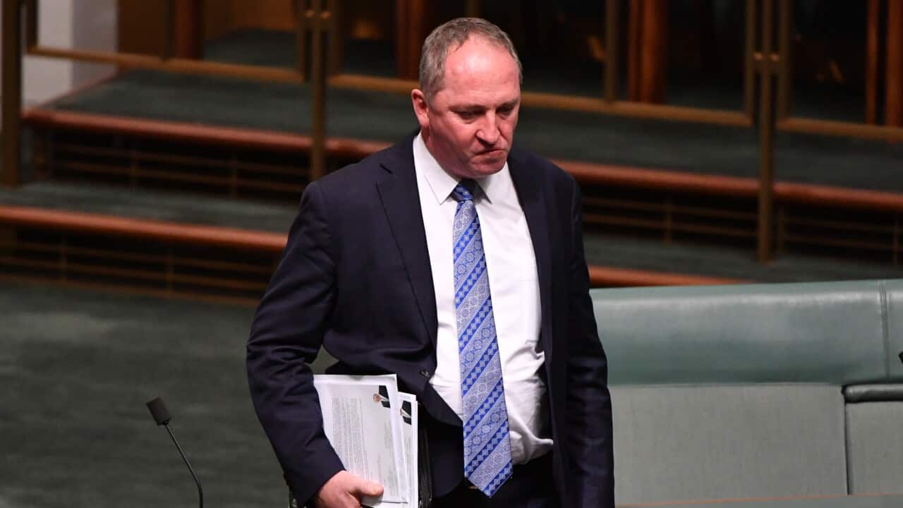 Former deputy prime minister Barnaby Joyce