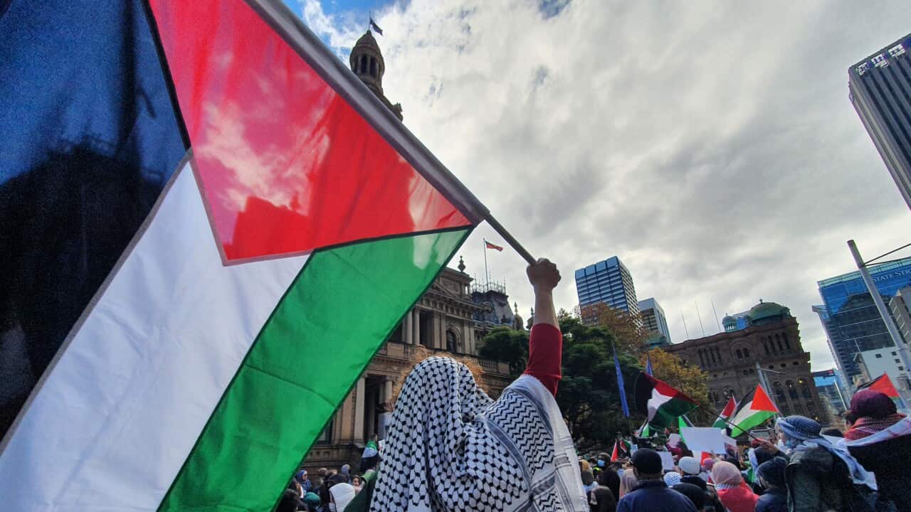 لقطات من التظاهرة التضامنية مع القضية الفلسطينية في سيدني السبت الماضي.