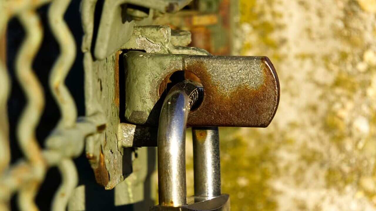 NSW and Vic push for lockdown