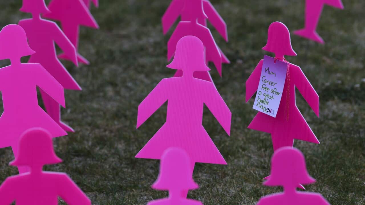 Pink silhouettes are part of a breast cancer memorial outside Parliament House in Canberra on 17 October 2018.