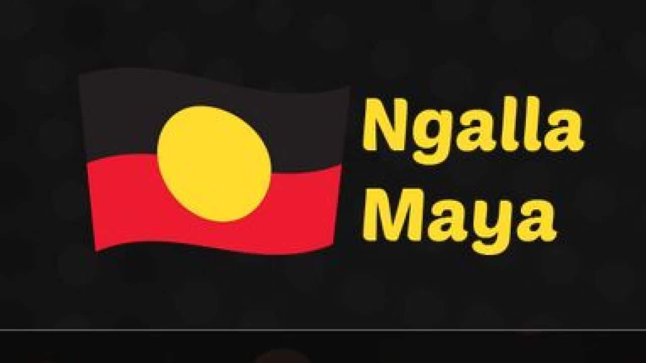 Ngalla Maya employment services in WA is an example of a successful community controlled organization
