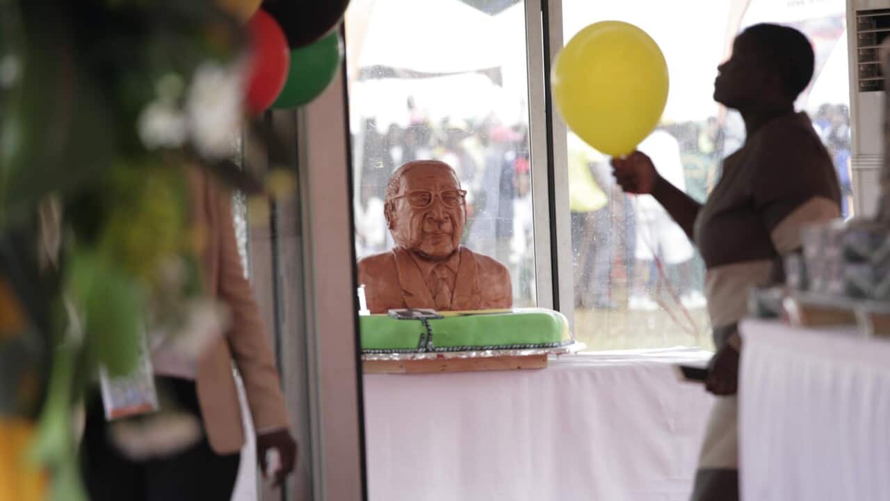 Mugabe's million-dollar birthday party