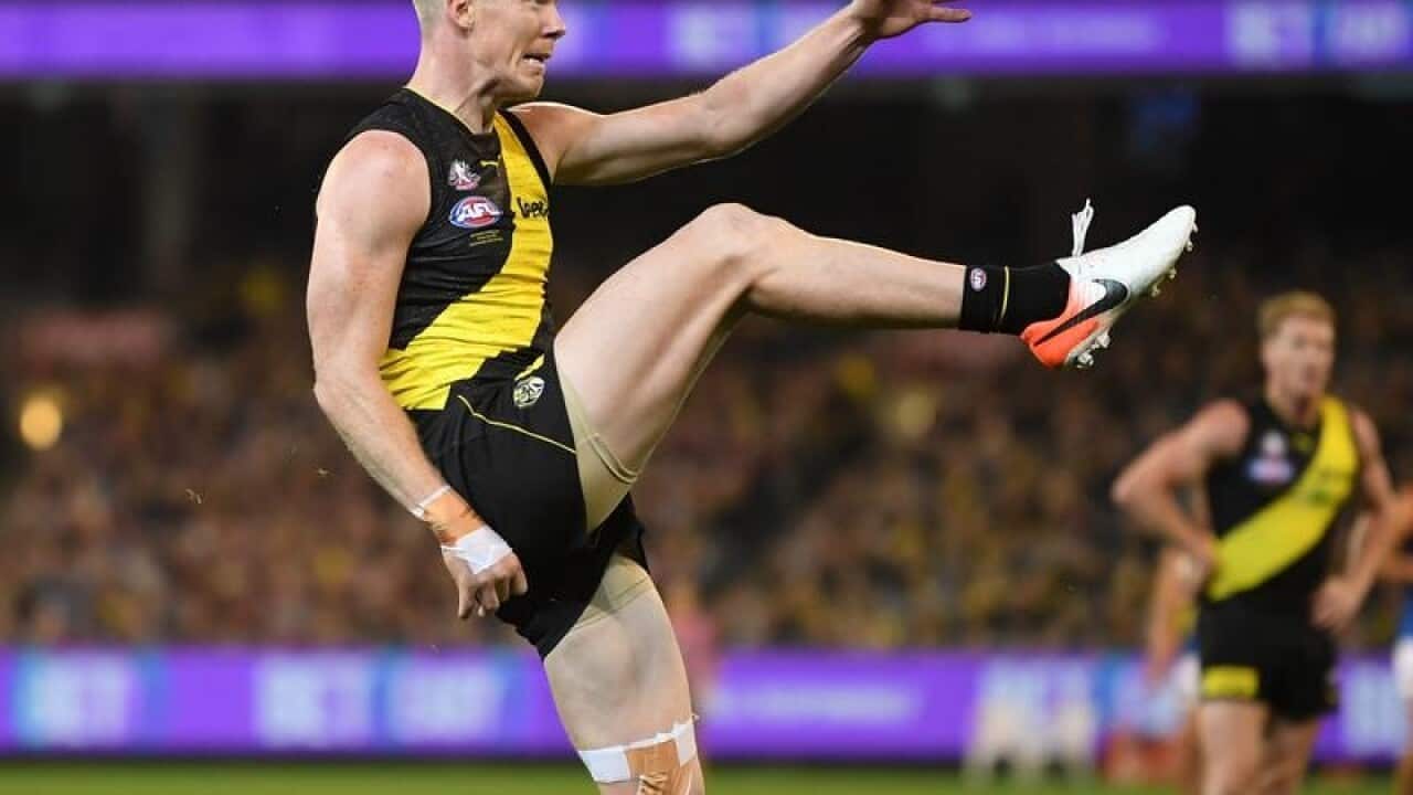 AFL TIGERS DEMONS RIEWOLDT