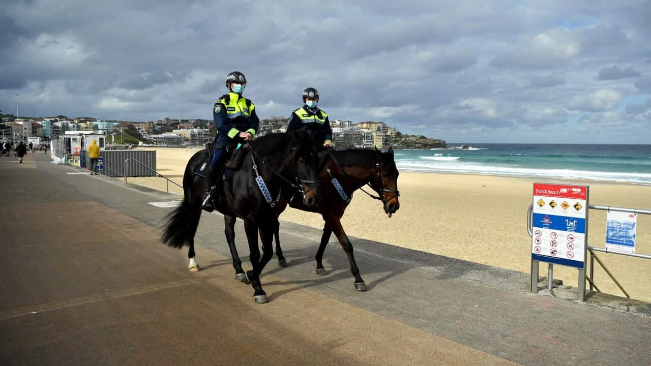 Image for read more article 'READ MORE'