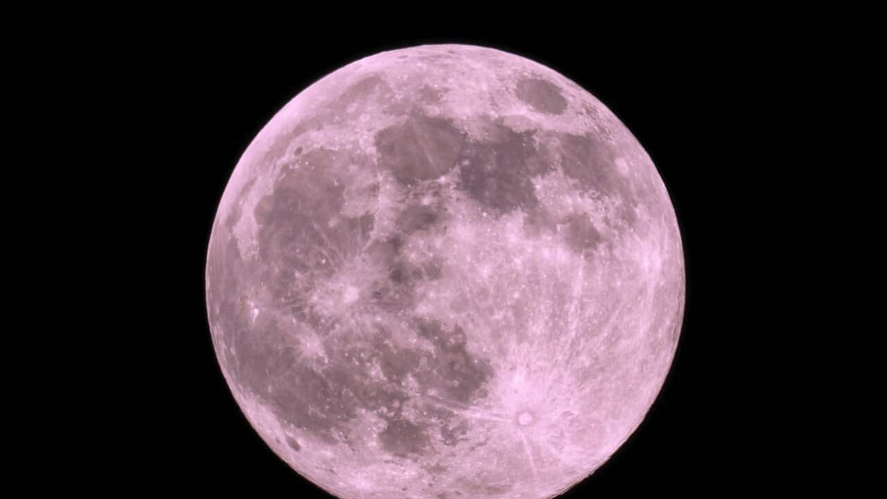 The super full pink Moon
