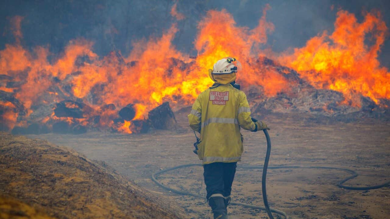 Incendios forestales en Perth: el número de casas destruidas aumenta a 86