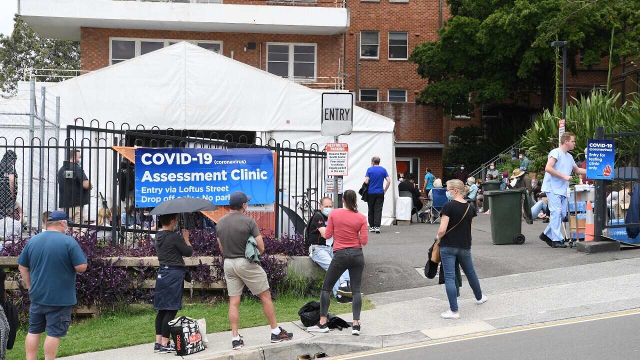 Long lines of people queue for COVID-19 testing at the Wollongong District Hospital.