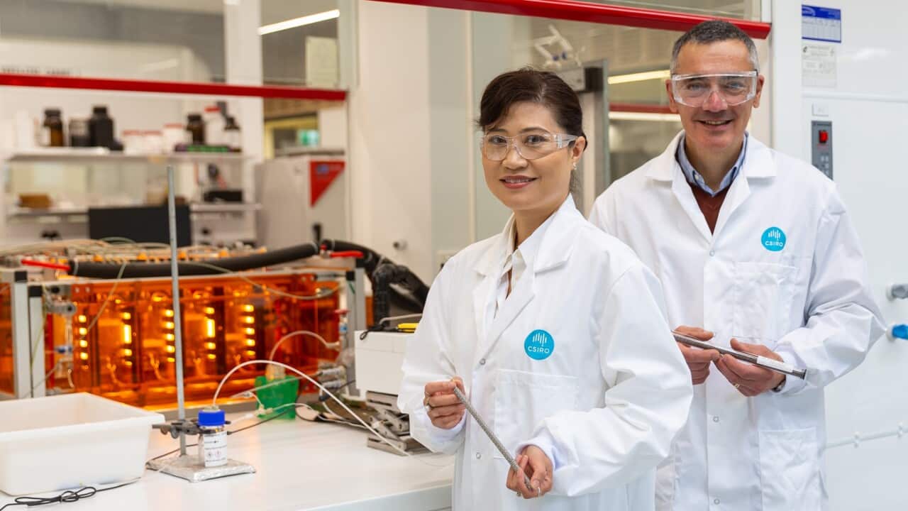 Vicky Au and John Chiefari with CSM rods (SBS).jpg