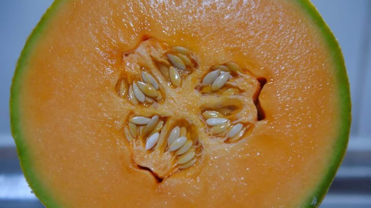 Rockmelon