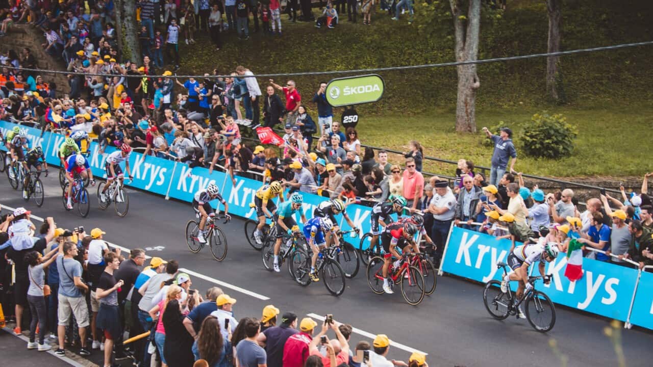 Peter Sagan, BORA-hansgrohe, Tour de France 2017