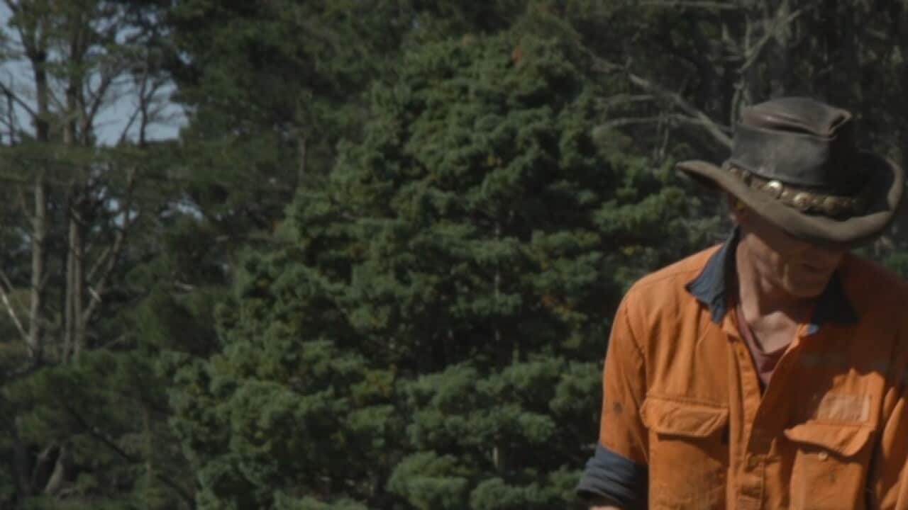 Aaron Hannay, co-founder of Mountain Landscaping.