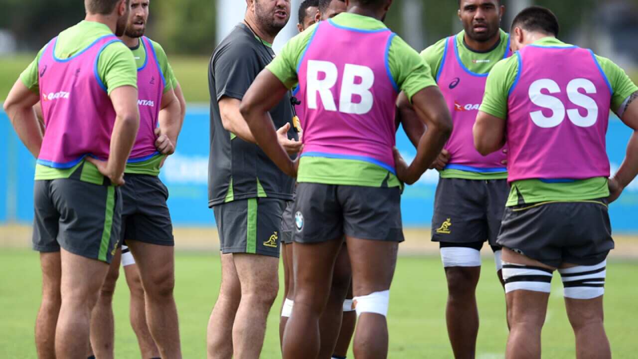 Wallabies coach Michael Cheika speaks to his players