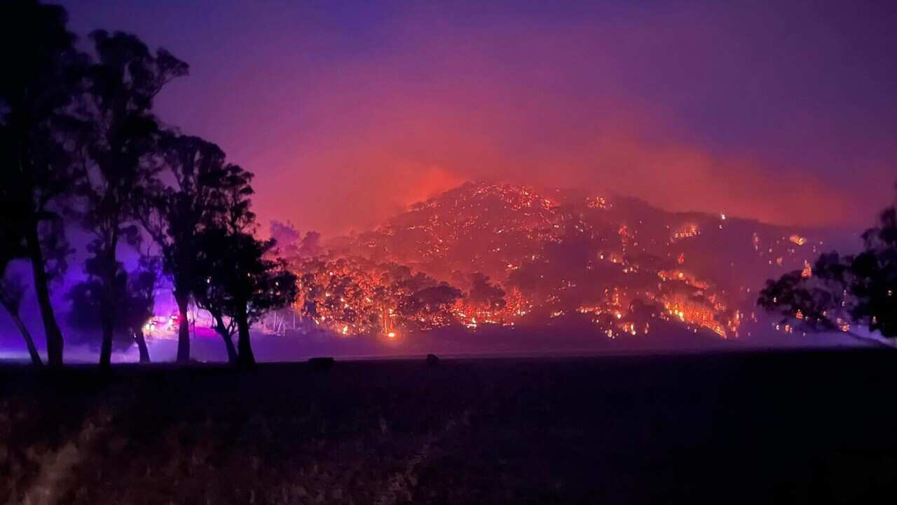 GRASSFIRE VICTORIA