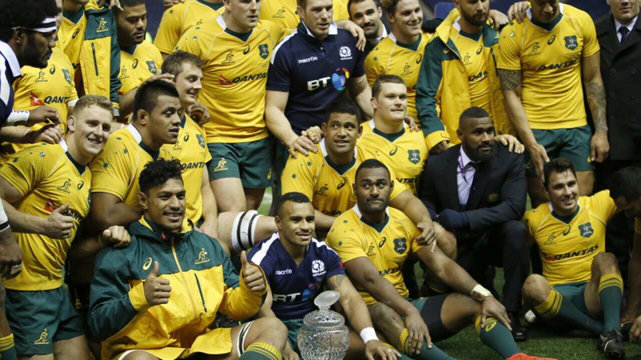 Wallabies players after defeating Scotland