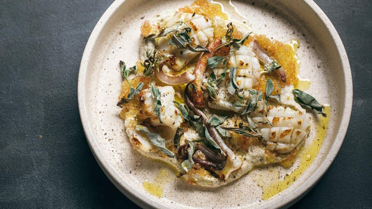 Barbecued squid and macadamia tarator