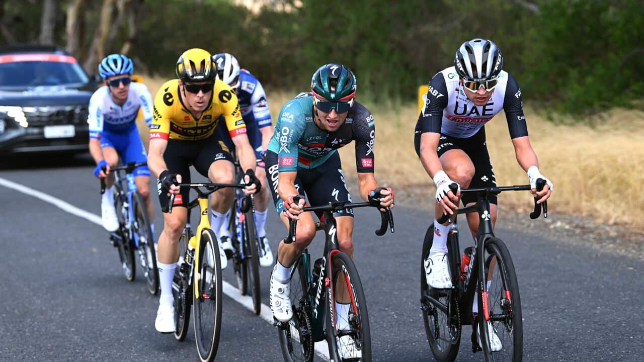 23rd Santos Tour Down Under 2023 - Stage 2