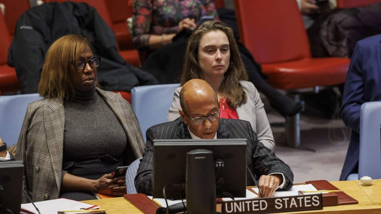 US Deputy Ambassador to the UN, Robert Wood (C) speaks during a security council meeting (AAP)