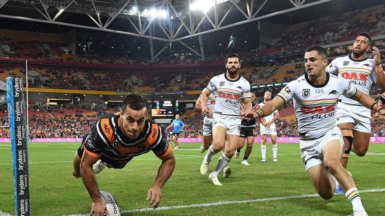 NRL TIGERS PANTHERS