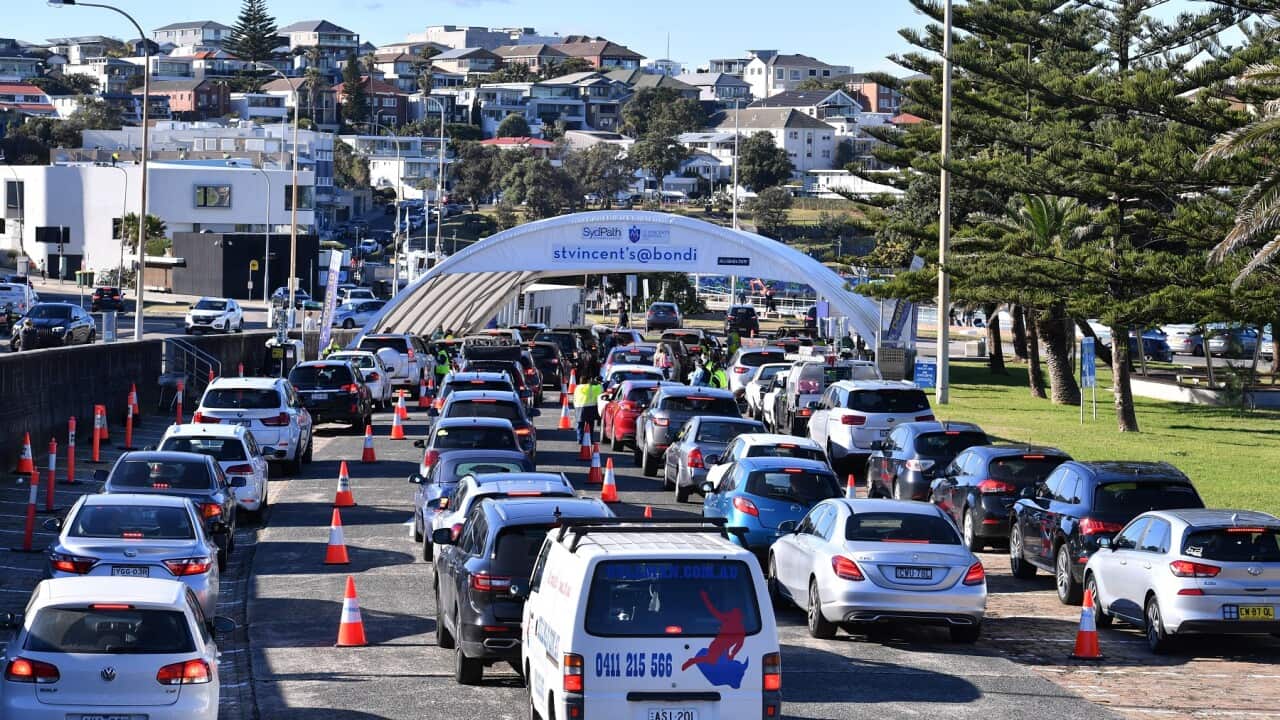 Drivers line up for Covid testing at Bondi in Sydney