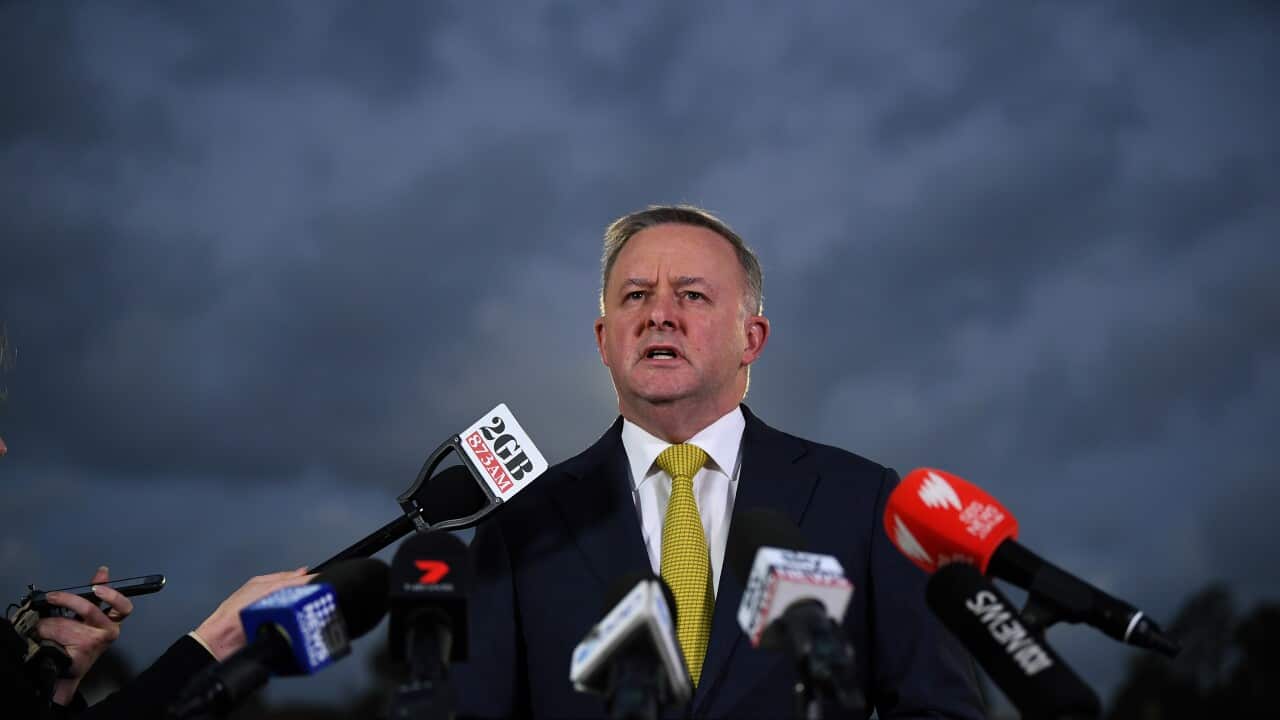ANTHONY ALBANESE LABOR LEADERSHIP PRESS CONFERENCE