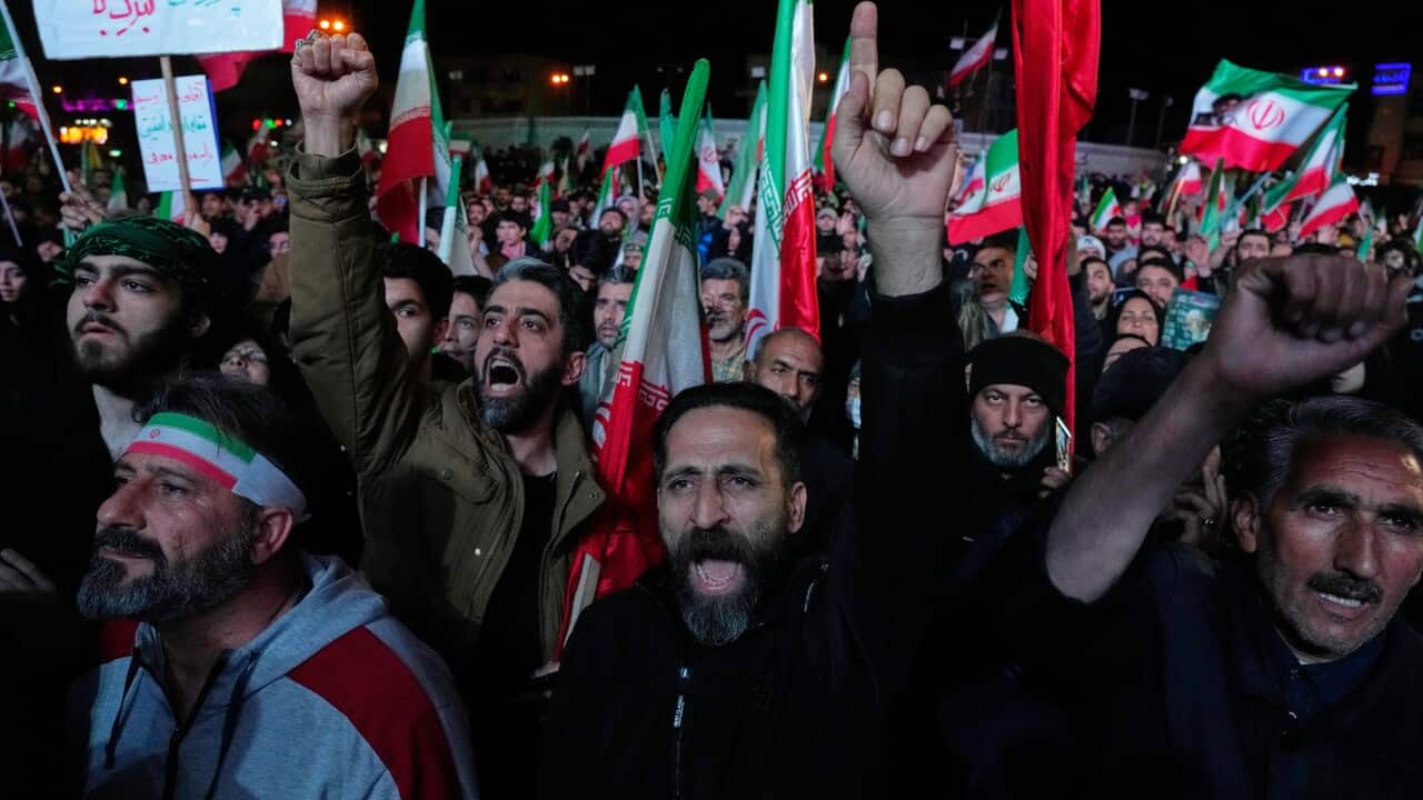 A large group of demonstrators standing outside holding Iranian flags and chanting.