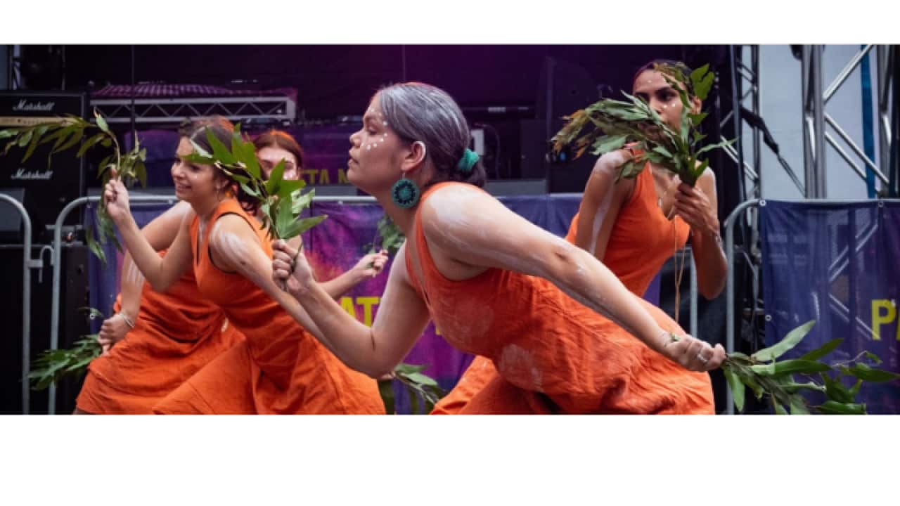 first nations warami festival.png