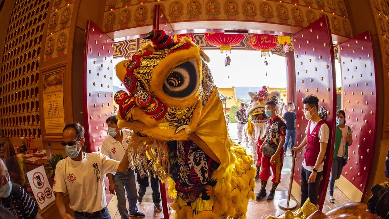 舞狮进南天寺大雄宝殿