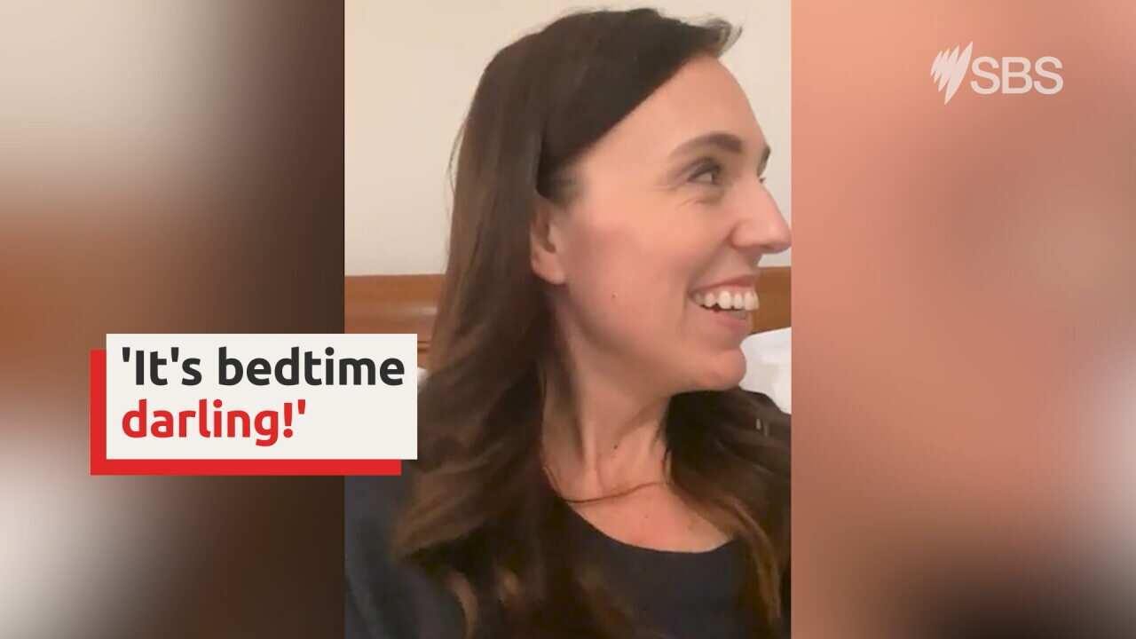 ardern_mpx_.jpg
