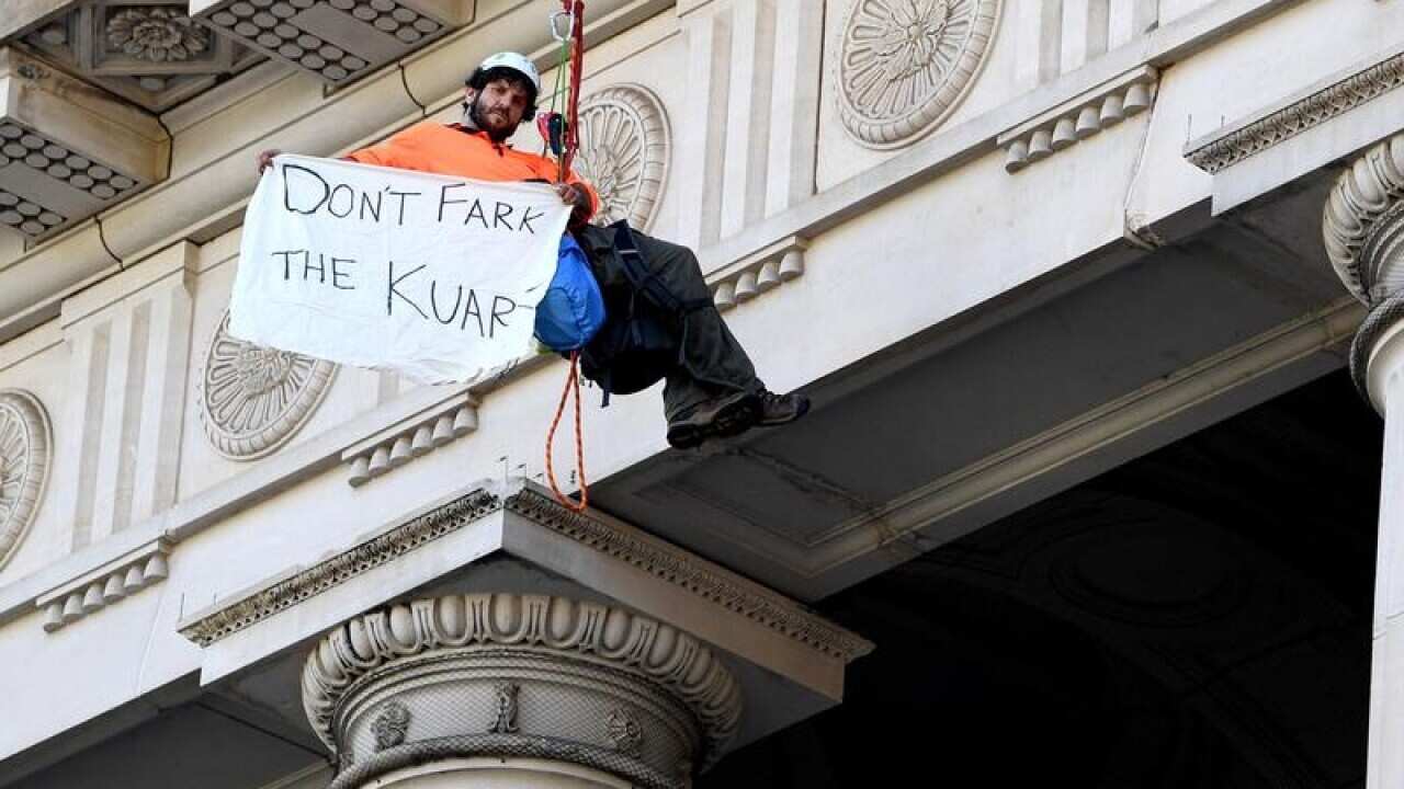 An anti-logging protester hangs of Victorian Parliament
