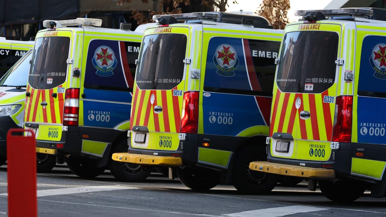 Image for read more article 'नेपालीमा पढ्नुहोस्'