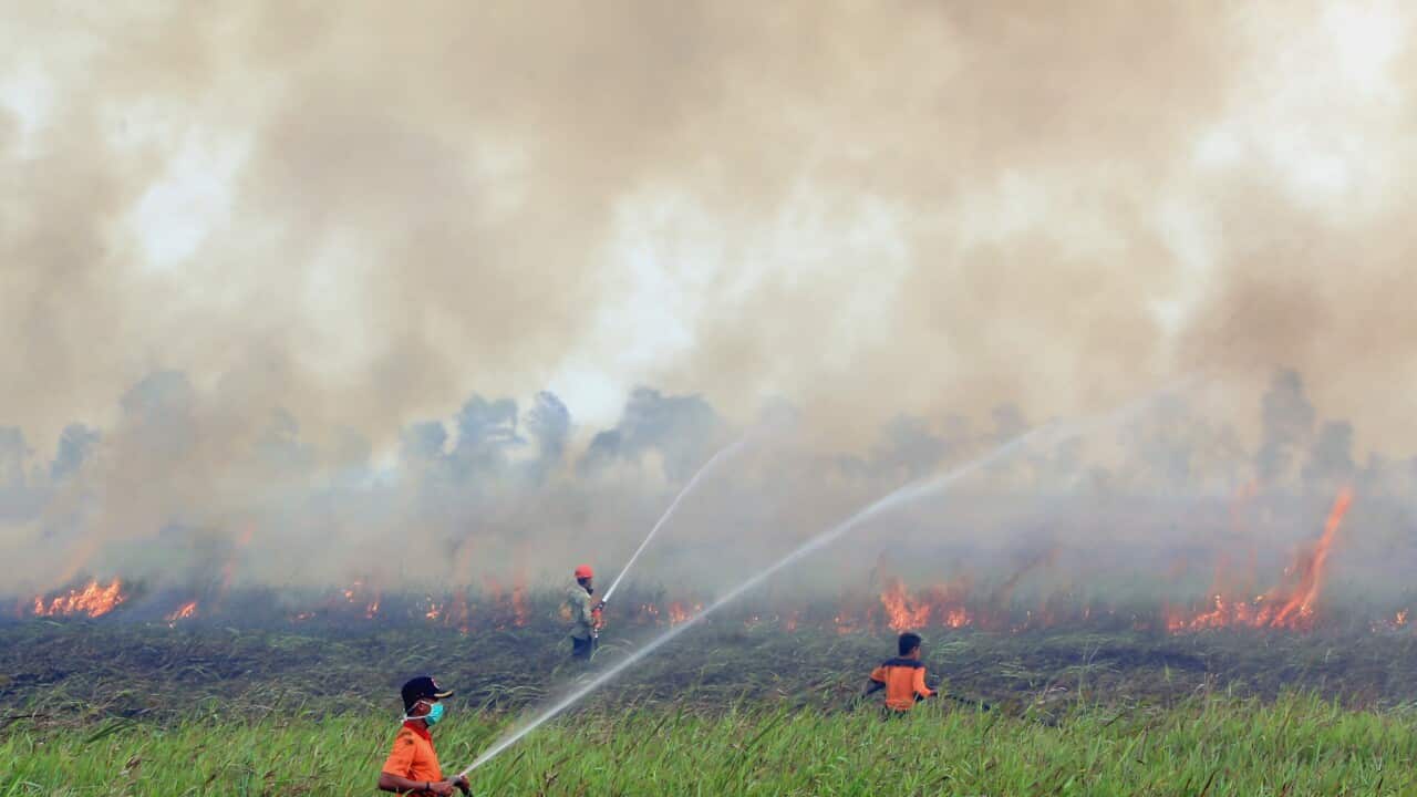 Forest fires flare in Indonesia