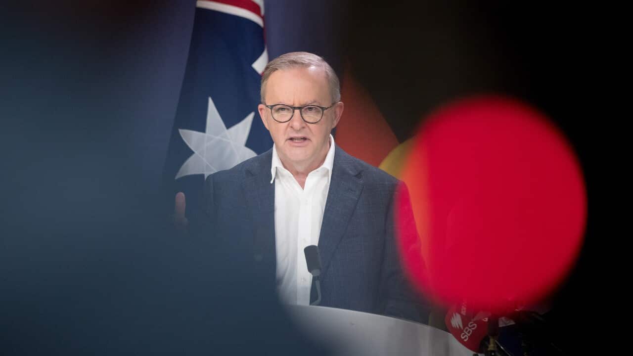 ANTHONY ALBANESE SYDNEY VISIT