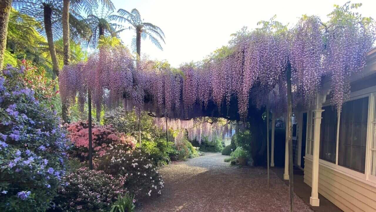 Image for read more article ''