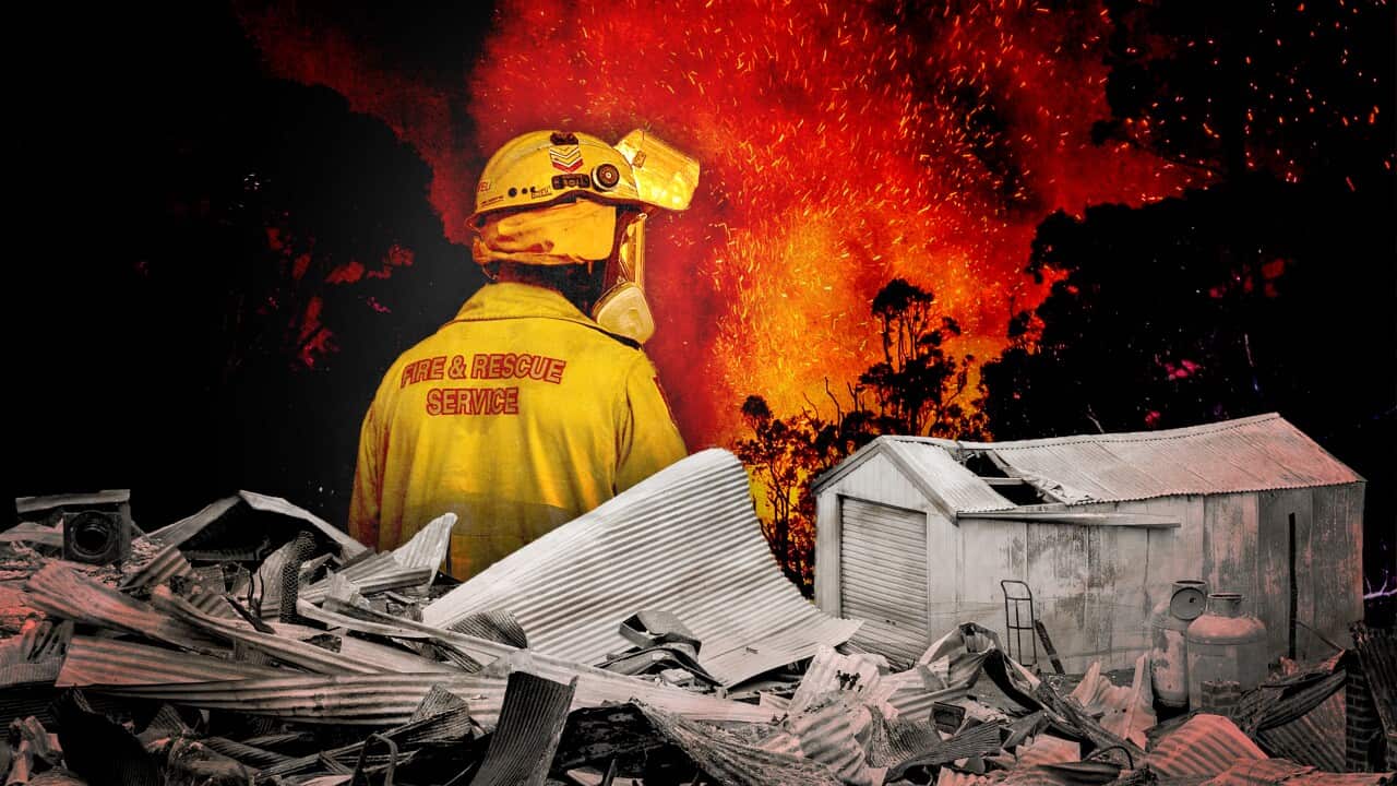 Graphic showing a bushfire, firefighter, and ruined buildings.