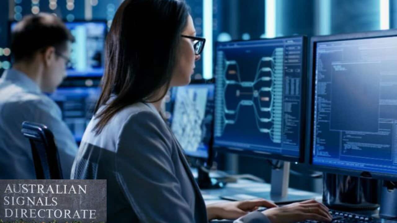 Job Vacancies - Spies needed