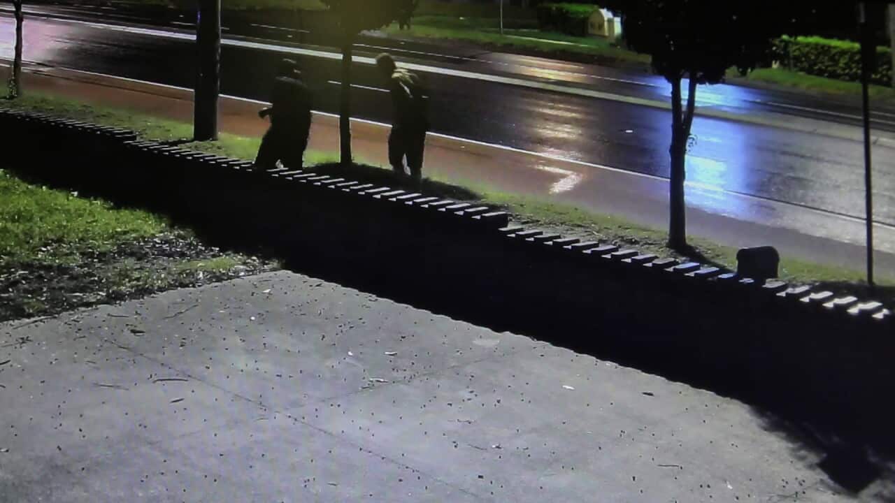 Parramatta assault: CCTV shows men attacking 20yo victim in Sydney's west