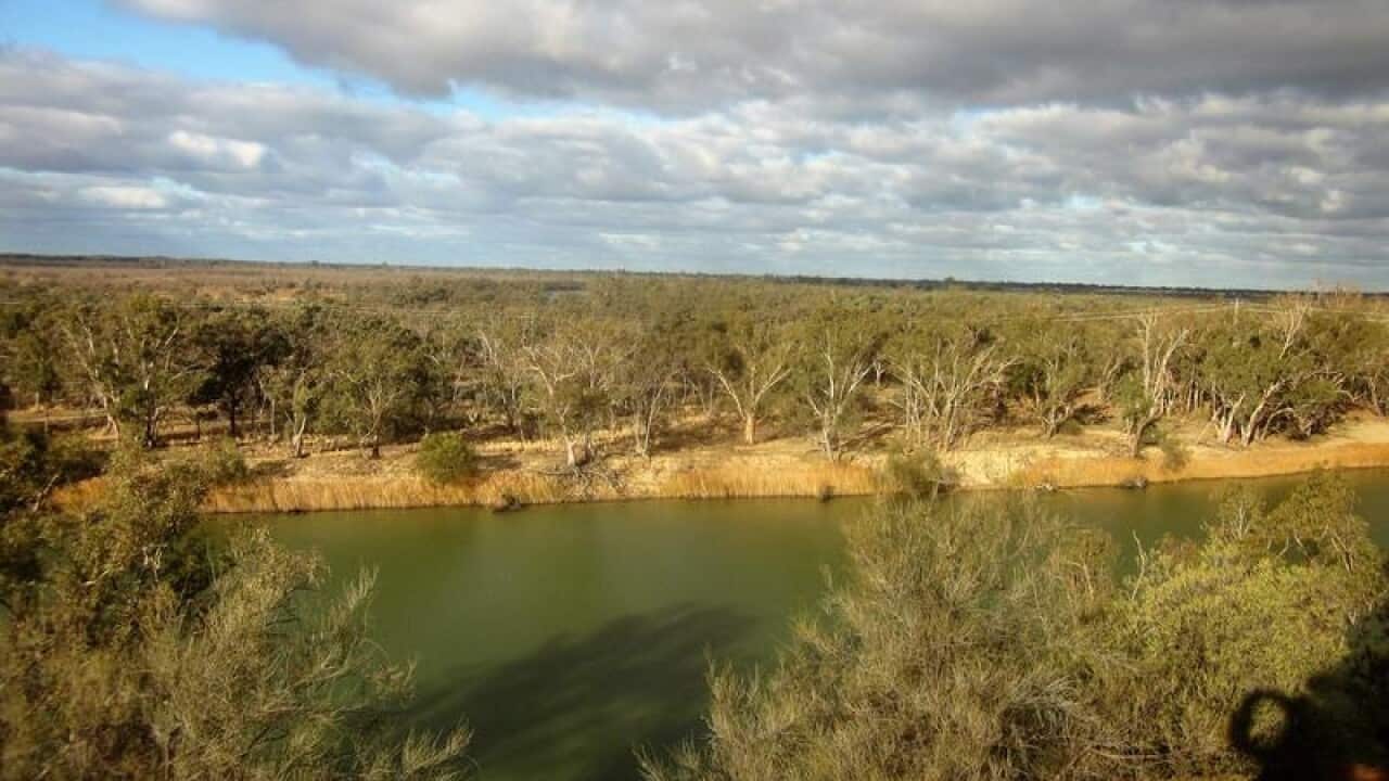 The Murray River at Mildura, Victoria