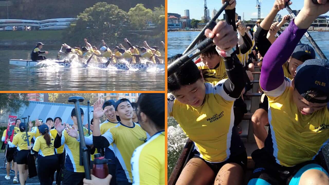 Thumbnail - Dragon Boat Athlete (Justin & Chi) CLEAN 1.jpg