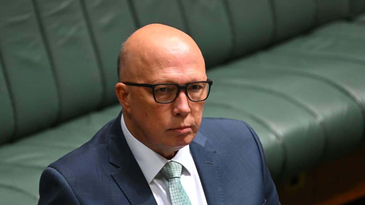 Image for read more article 'READ MORE'