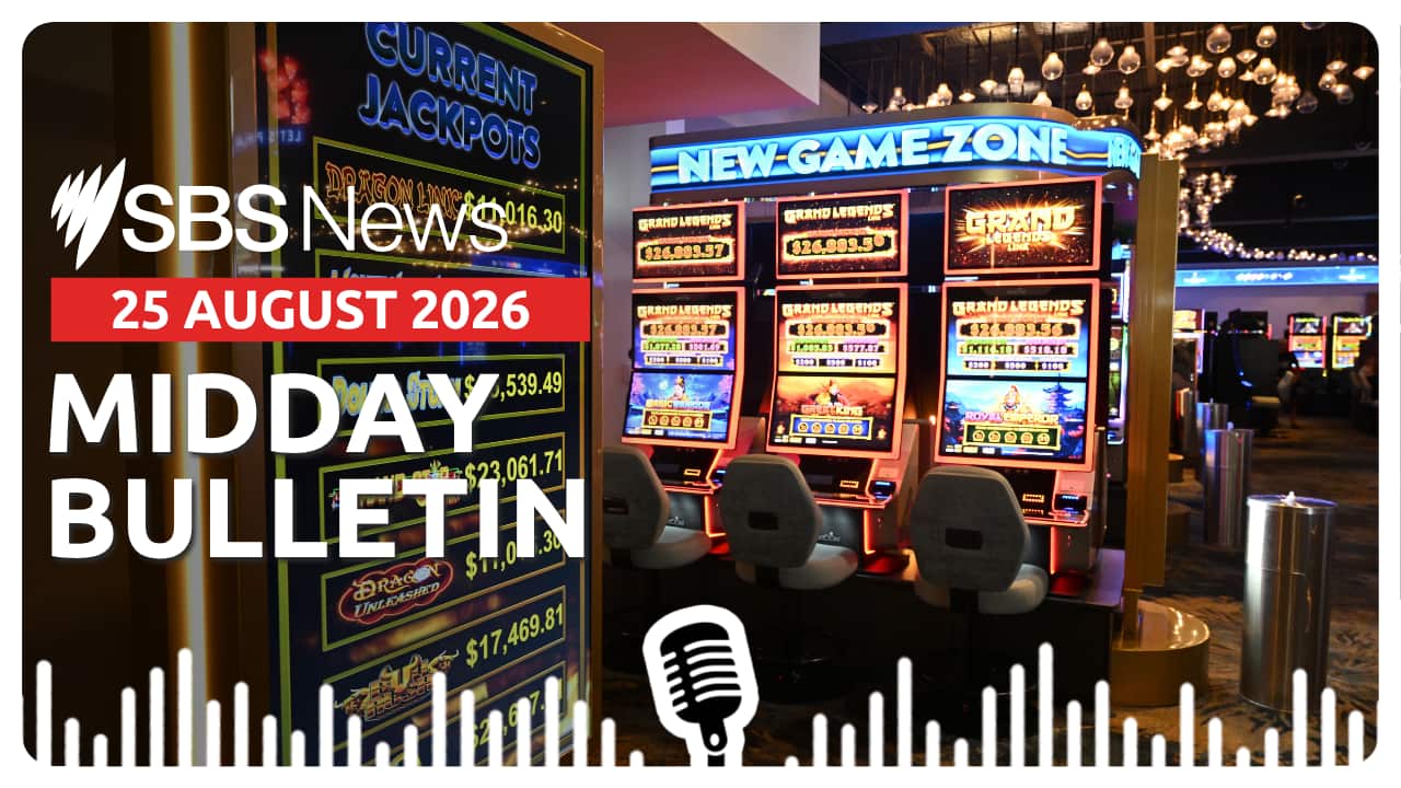 MIDDAY BULLETIN (3).png