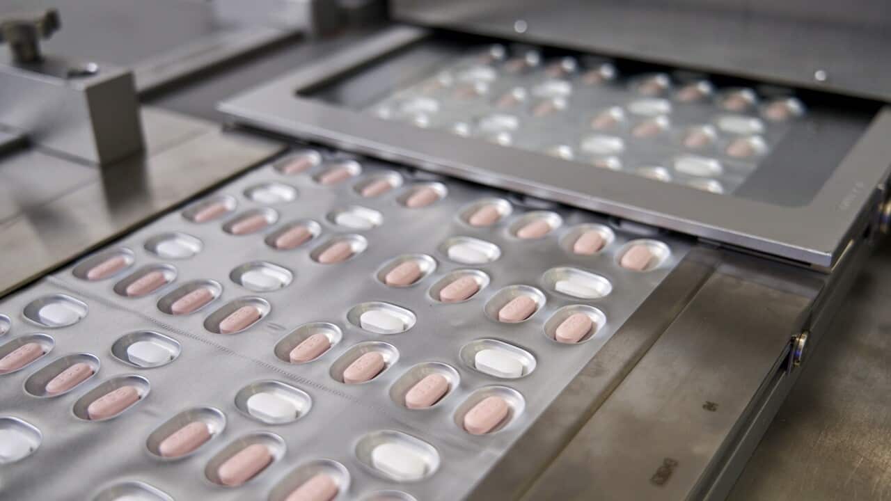 Pfizer COVID-19 treatment pills